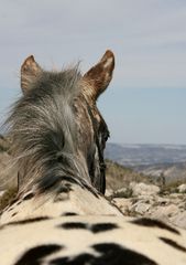 Dänischer Ausblick in Spanische Landschaft