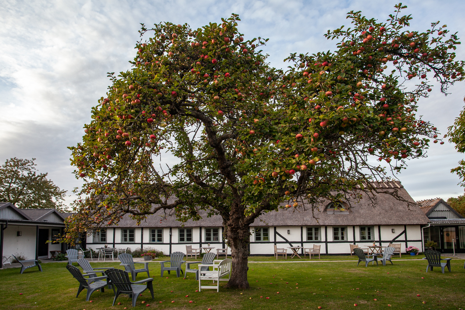 dänischer Herbst Foto &amp; Bild | jahreszeiten, historische gebäude, baum ...