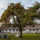 dänischer Herbst