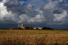 Dänischer Hof im Sommer