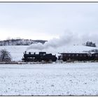 Dänischer Winterdampf