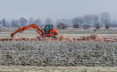 Daewoo-Bagger im Frost mit Reh