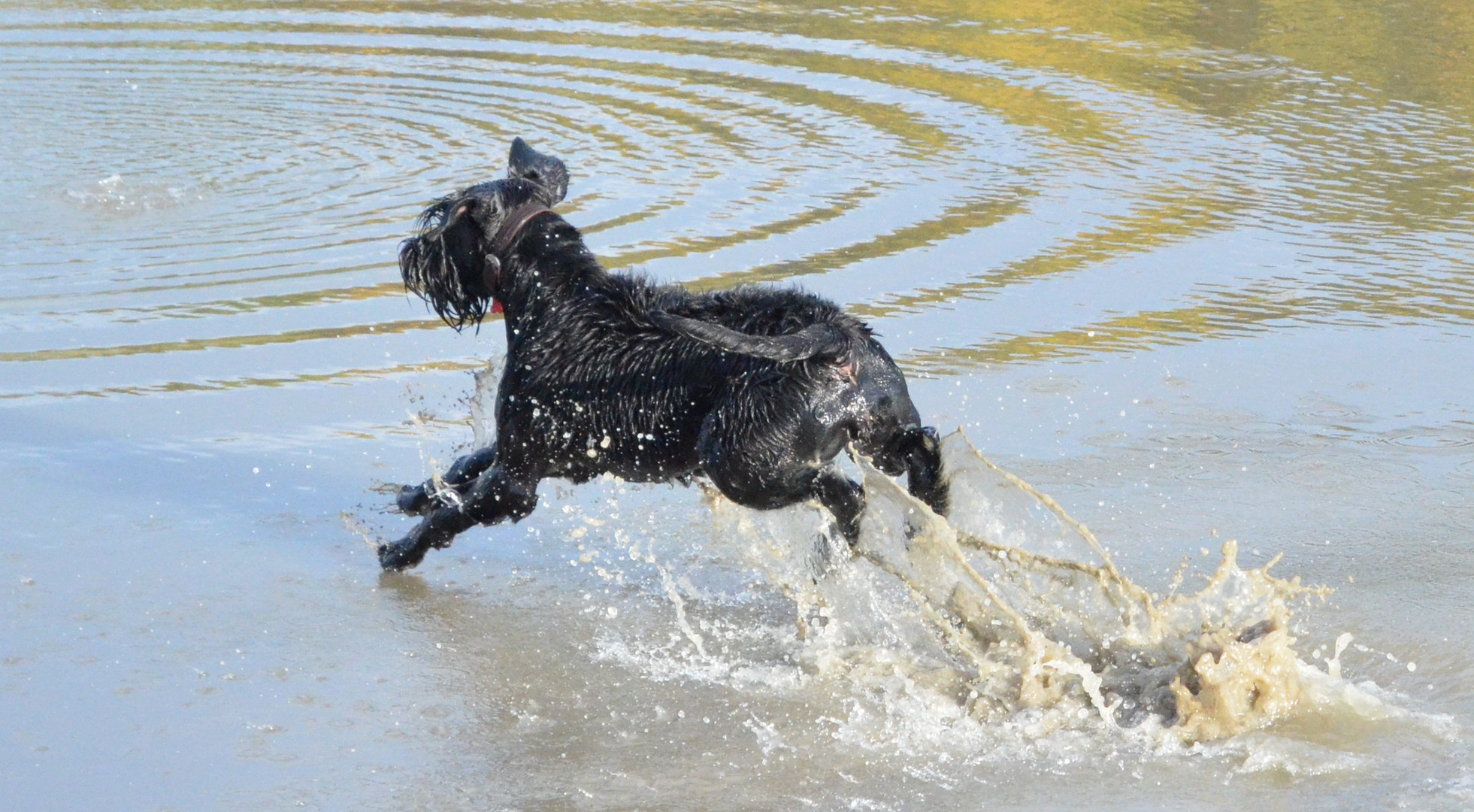 Dafür laufe ich auch über Wasser...!