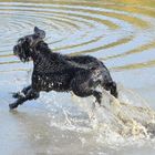 Dafür laufe ich auch über Wasser...!