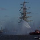 Dag Prmosa führt die Auslaufparade am 825. Hafengeburtstag in Hamburg