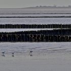 Dagebüll-Hafen im Dunst...