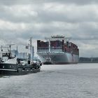 Dagmar trifft auf Containerriese:-)