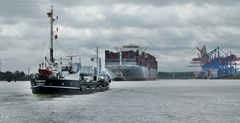 Dagmar trifft auf Containerriese:-)