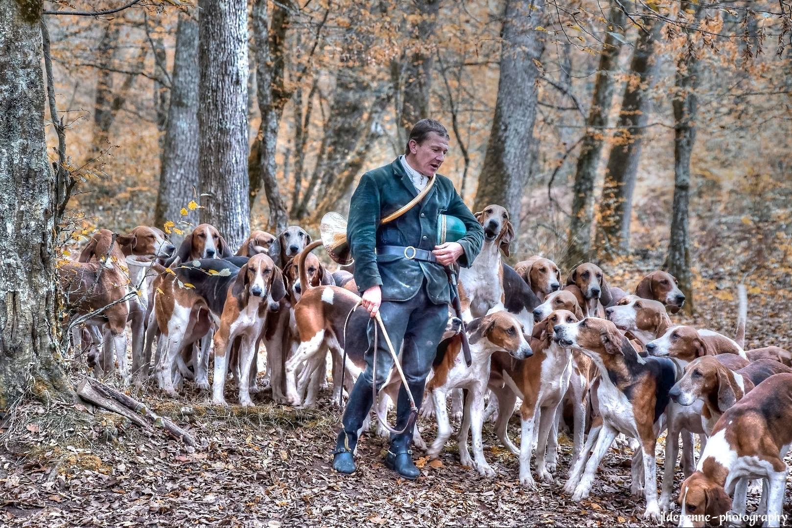 Daguet et sa meute