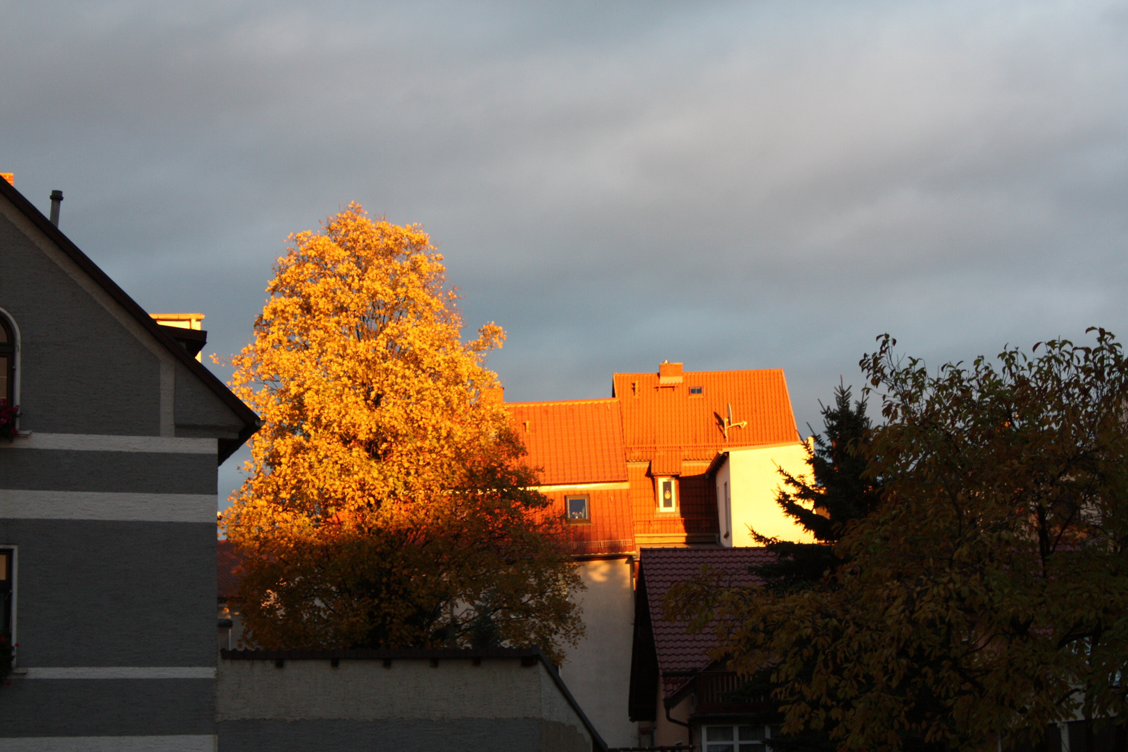 daher der Begriff - Goldener Herbst