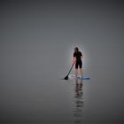 Dahingleiten in die Dämmerung am Meer