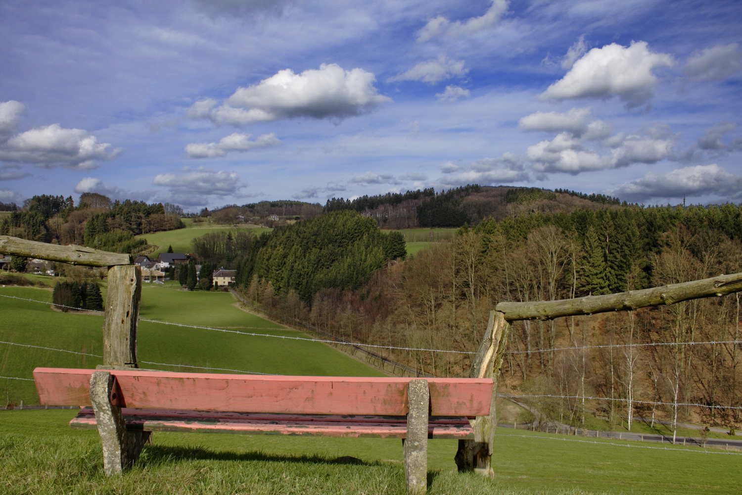 Dahinten ist Apfelbaum/Birnbaum - relodad