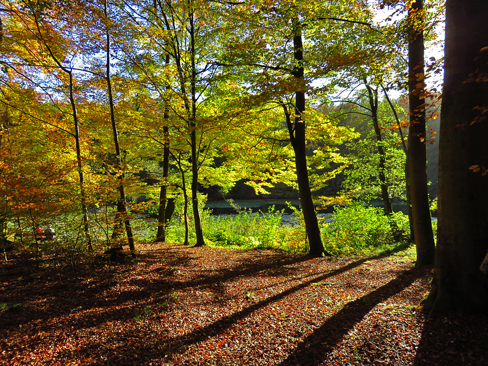 Dahinter ein Teich