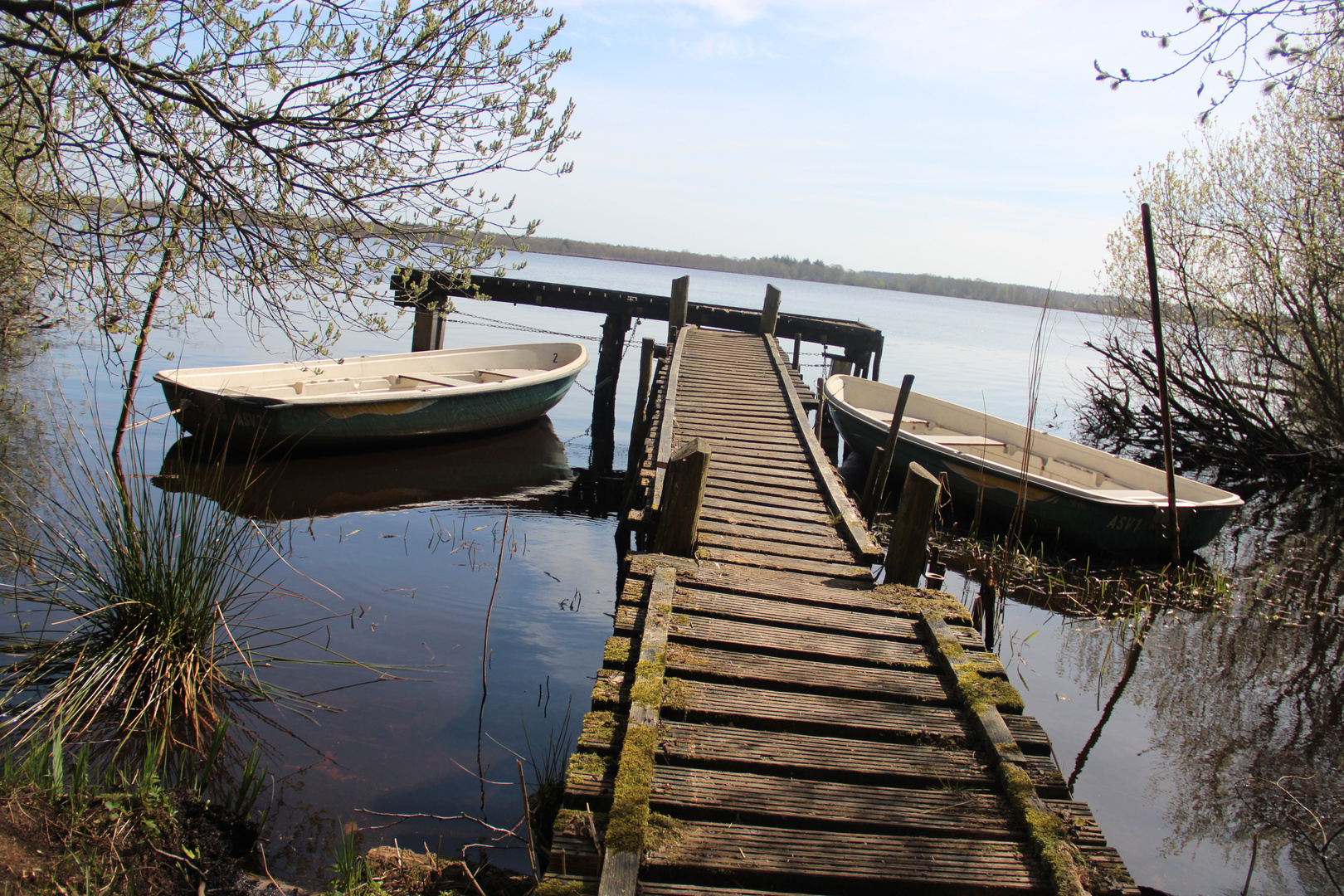 Dahlemer See im Ahlenmoor