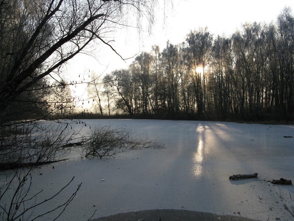 Dahlewitzer Winter