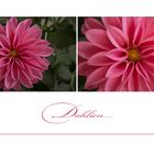 Dahlia...