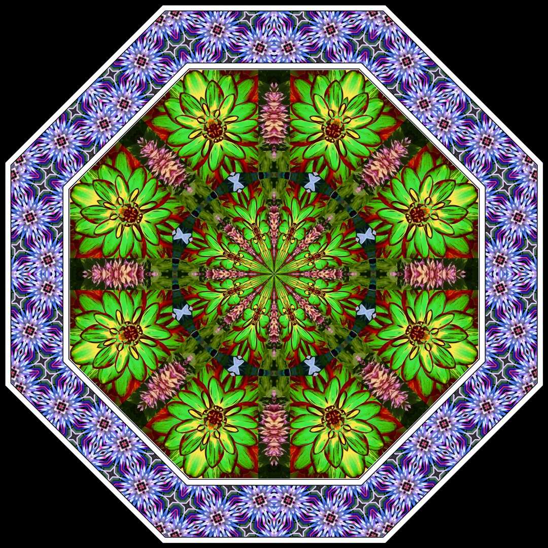 Dahlien-Kaleidoskop, gezeichnet