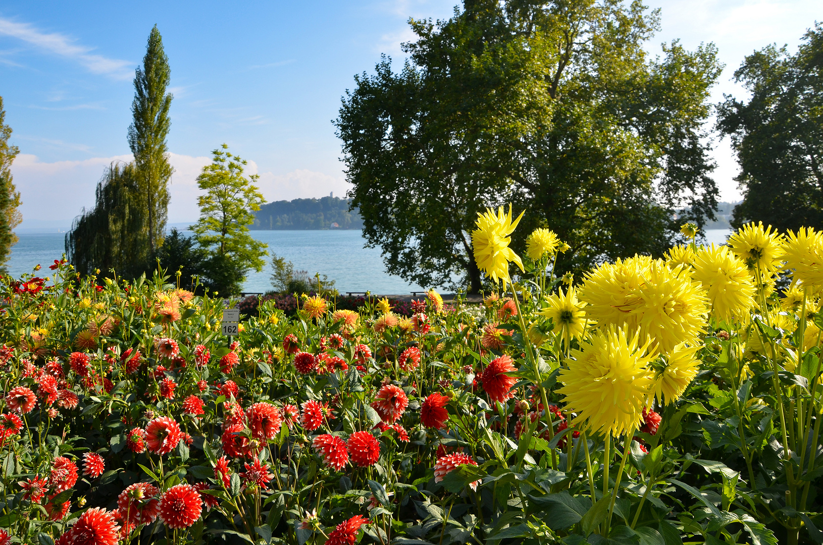 Dahlien zum Herbstbeginn