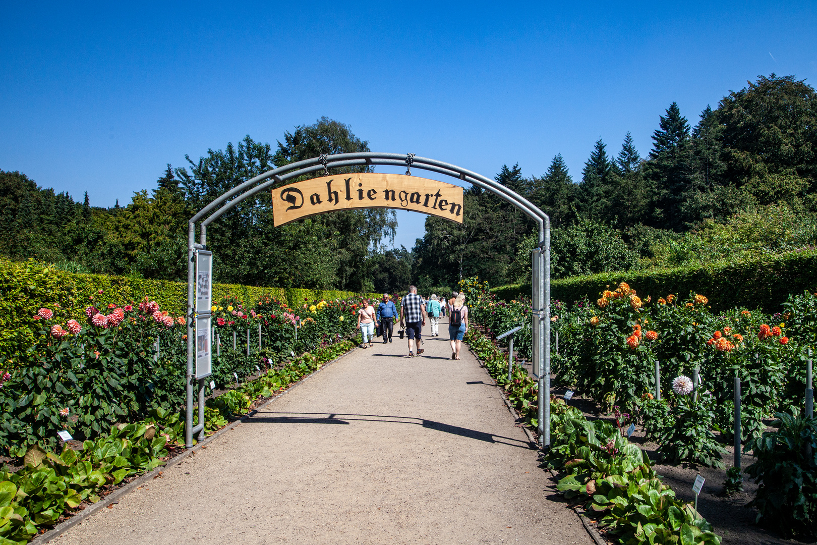 Dahliengarten Altona