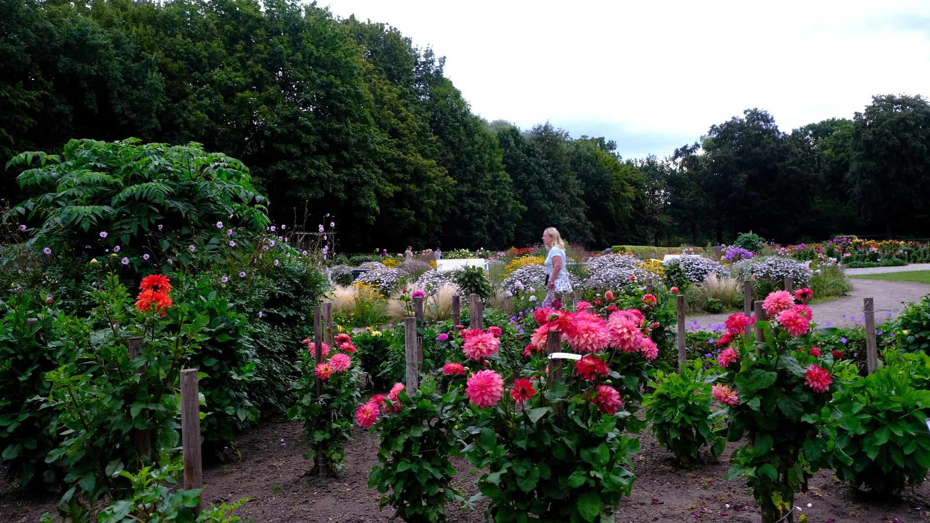 Dahliengarten Hamburg