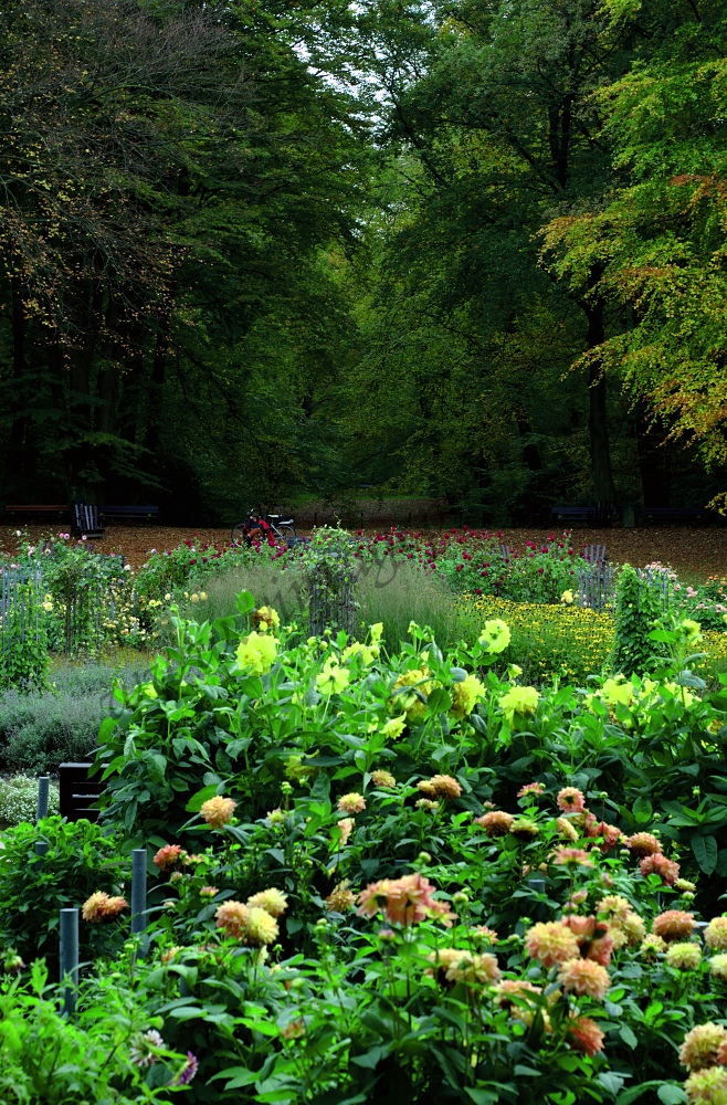 Dahliengarten Hamburg die dritte...