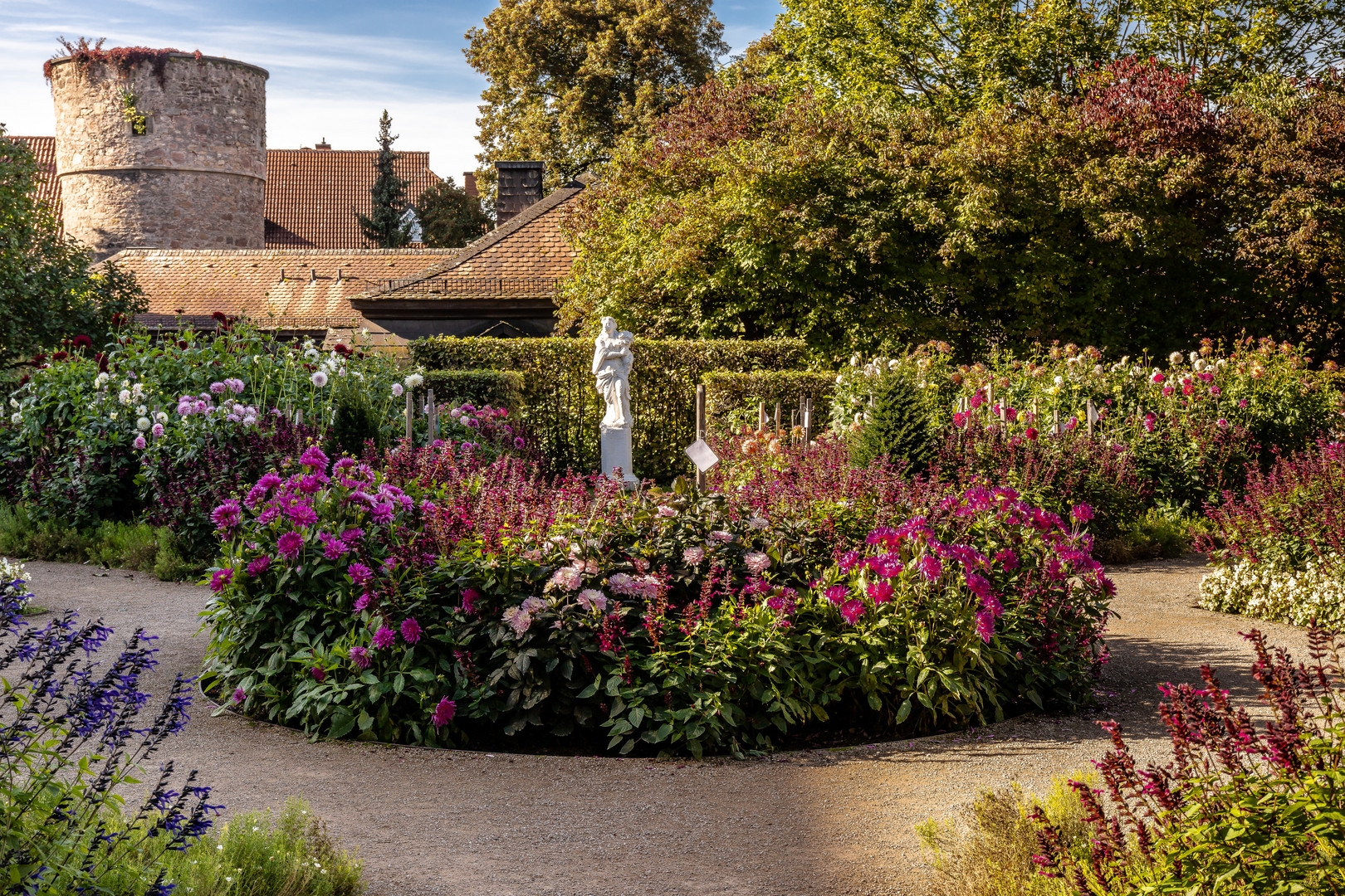 Dahliengarten in Fulda-1