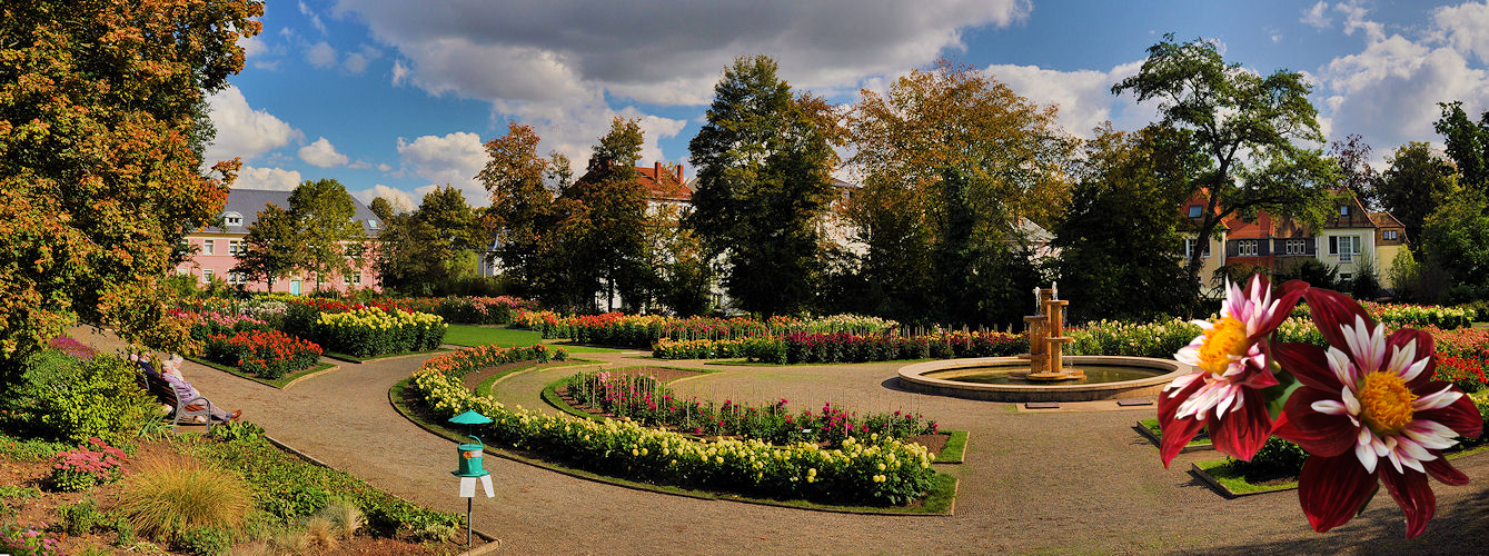 Dahliengarten in Gera (Thüringen) Foto & Bild landschaft, garten