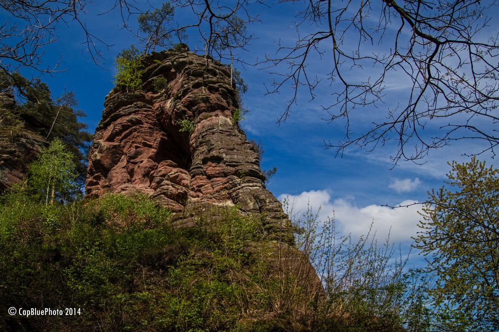 Dahner Felsenland Schillerfelsen