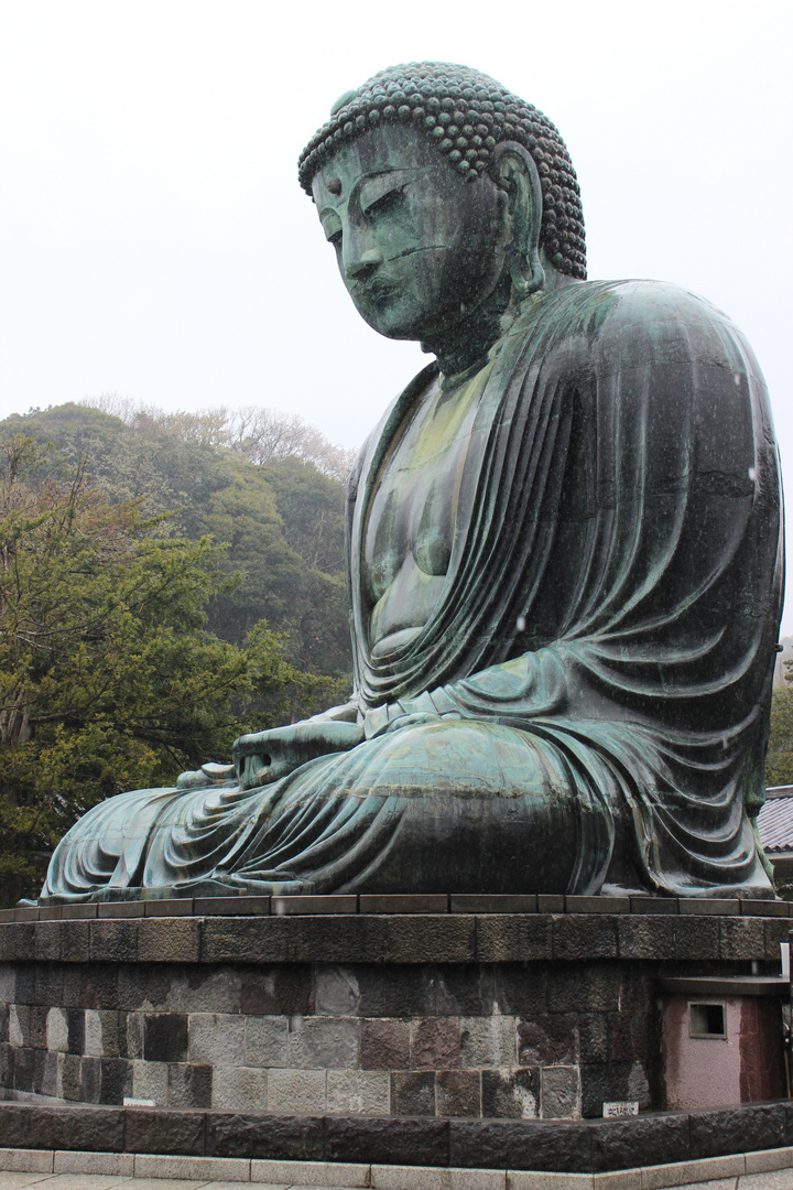 Daibutsu in Kamakura