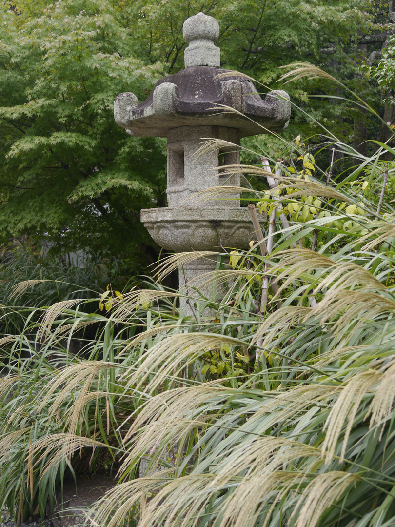 Daibutsu Kamakura, Japan 2015