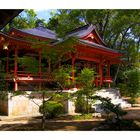 Daikakuji Temple-2 [Kyoto]