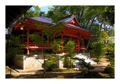 Daikakuji Temple-2 [Kyoto]