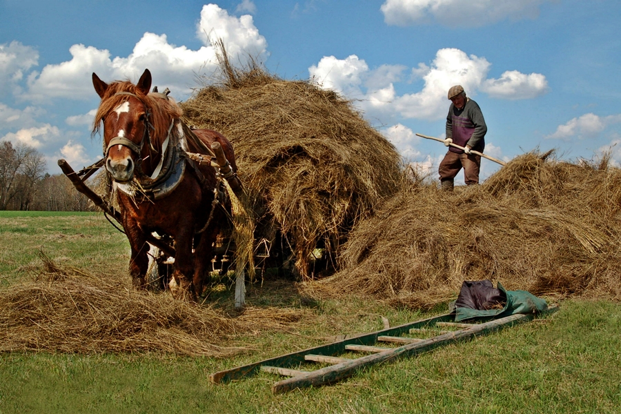 Daily Life - Podlasie