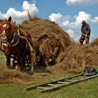 Daily Life - Podlasie