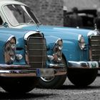 Daimlers in blue