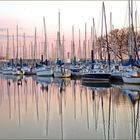 DAINGERFIELD MARINA