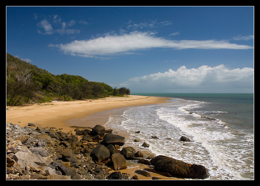 ~Daintree Nationalpark~