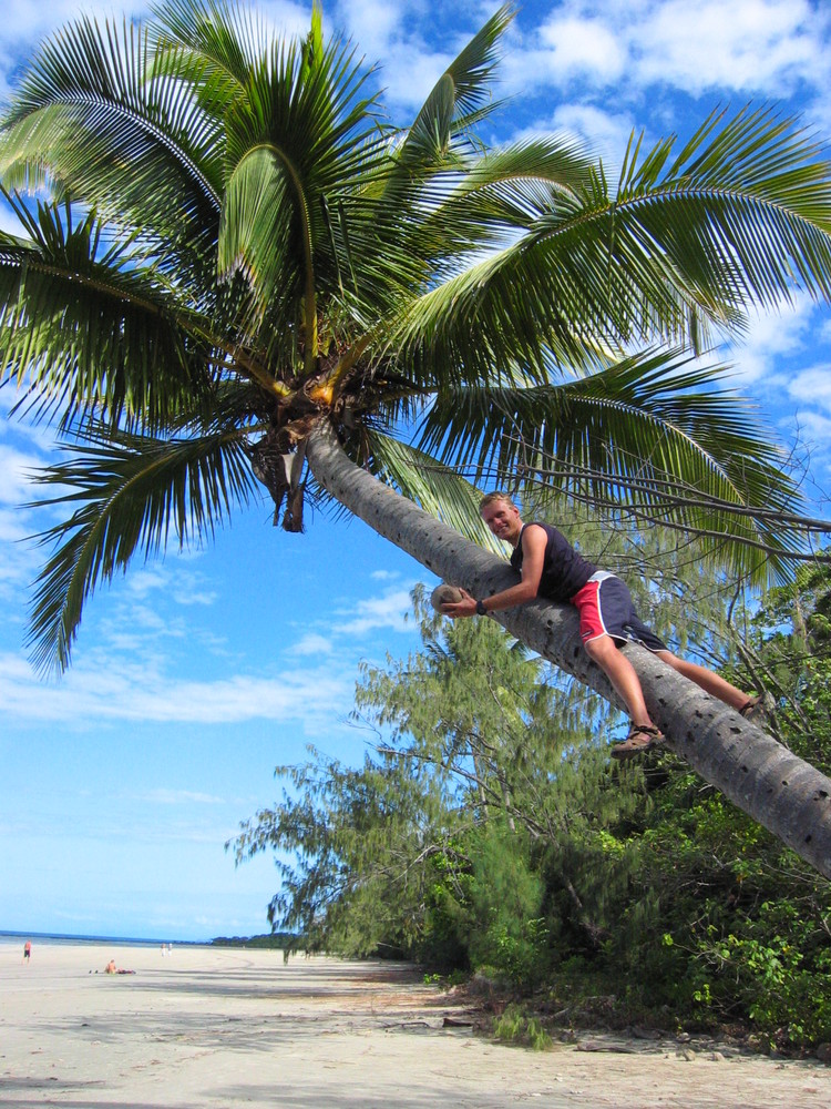 Daintree NP