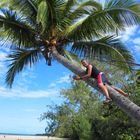 Daintree NP