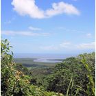 Daintree NP