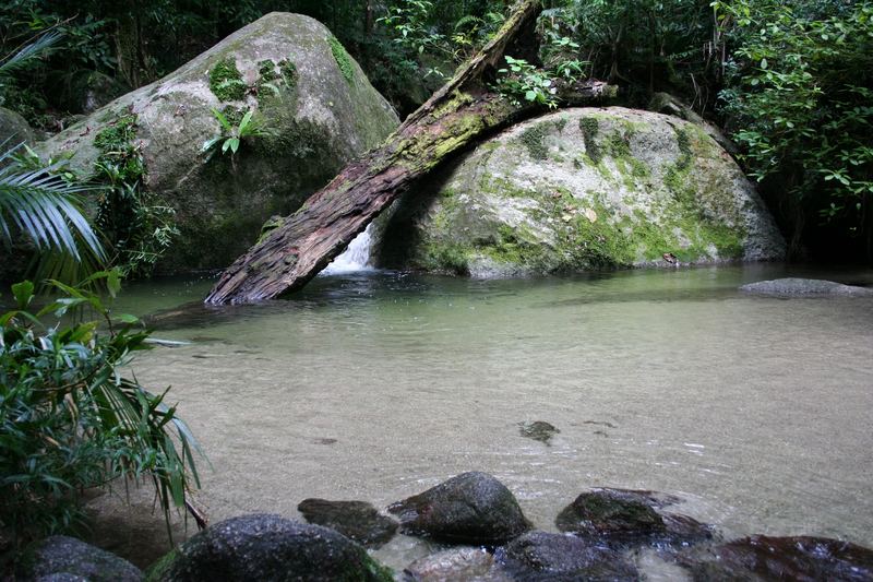 Daintree NP, Mossmann Gorge