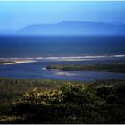 Daintree River