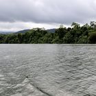 Daintree, River Cruise