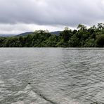 Daintree, River Cruise