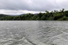 Daintree, River Cruise