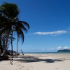 Daintree River Delta 2