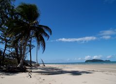 Daintree River Delta 2