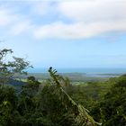 Daintree, Triple