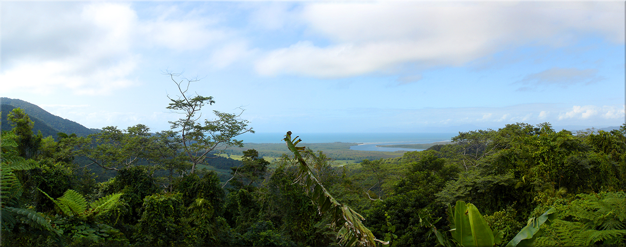 Daintree, Triple