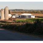 Dairy Land - Wisconsin